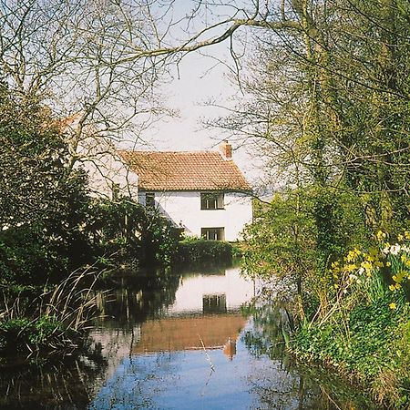 Maxmills Cottage - E1852 Banwell Экстерьер фото